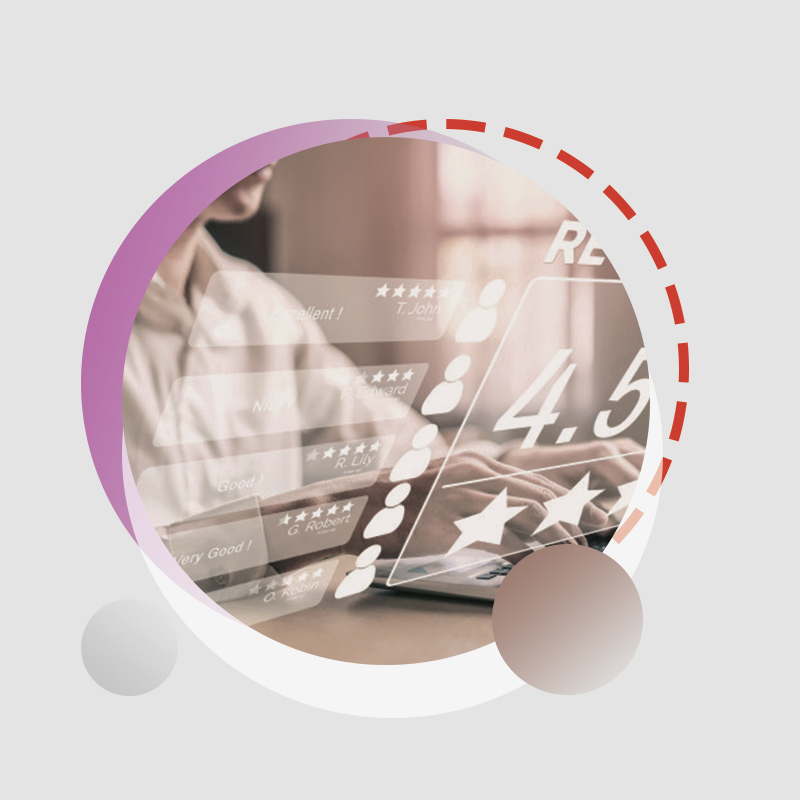 Online Reputation Management