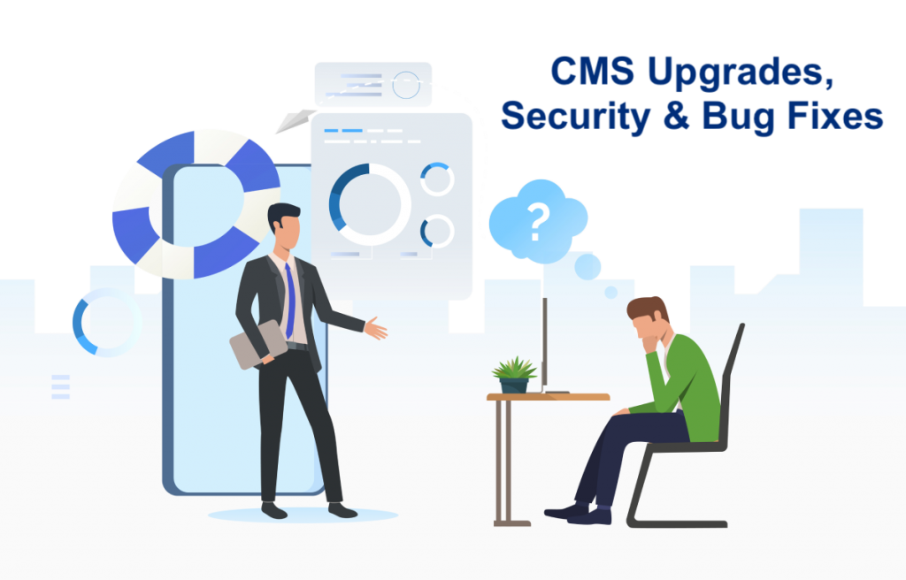 Malaysia CMS Software Bugs Upgrades Support